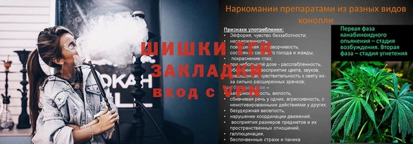 ПСИЛОЦИБИНОВЫЕ ГРИБЫ Верхнеуральск