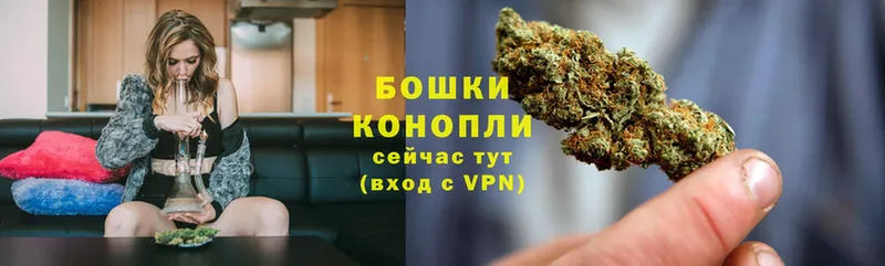 Марихуана THC 21%  Правдинск 